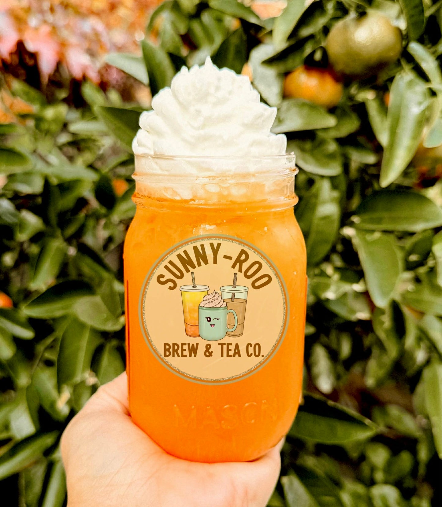 Orange Creamsicle 🍊🤍