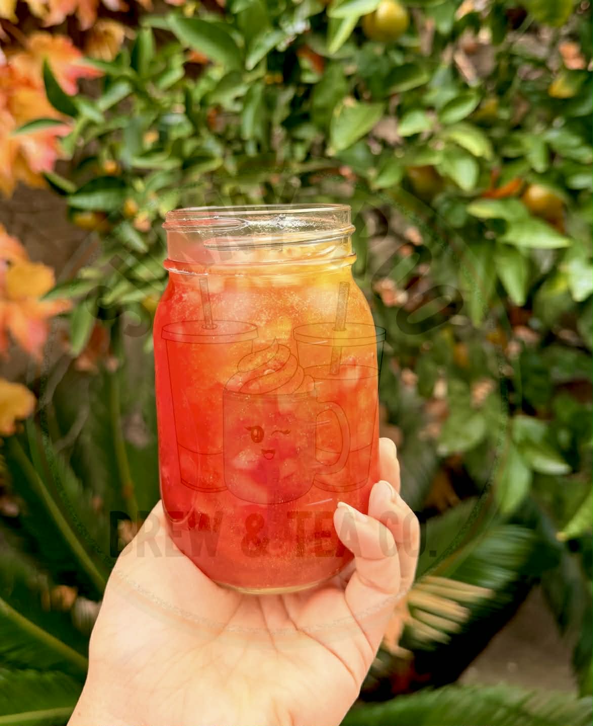 Island Punch 🌴🍉